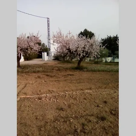 Holiday home El Maset Blanch *